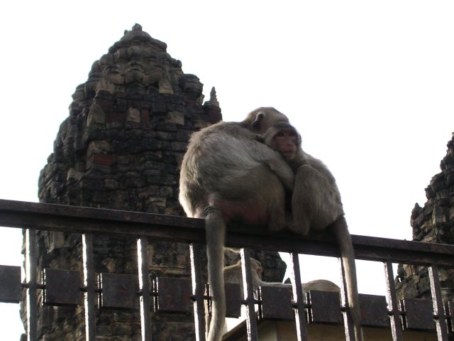 Lopburi